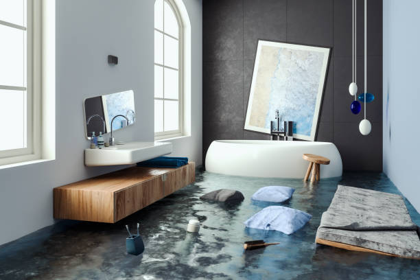 Best Professional water damage repair  in Bolivar, WV