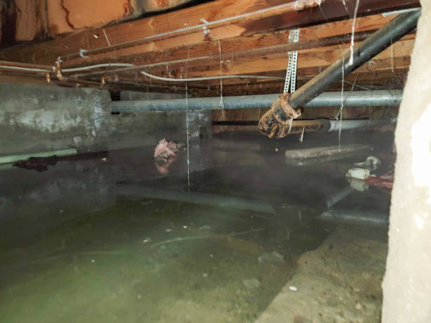 Best Ceiling water damage repair  in Bolivar, WV