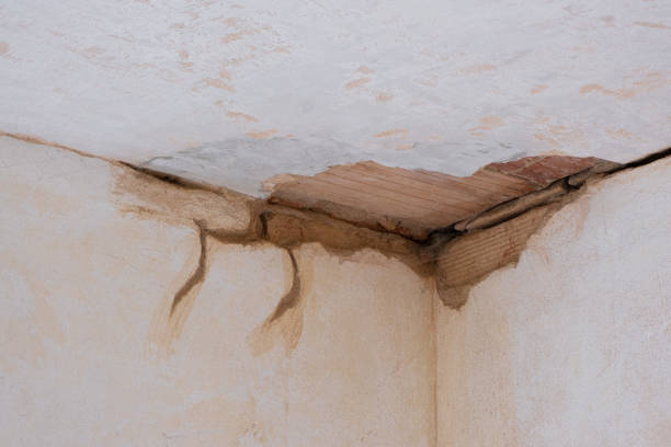 Best Water damage cleanup near me  in Bolivar, WV