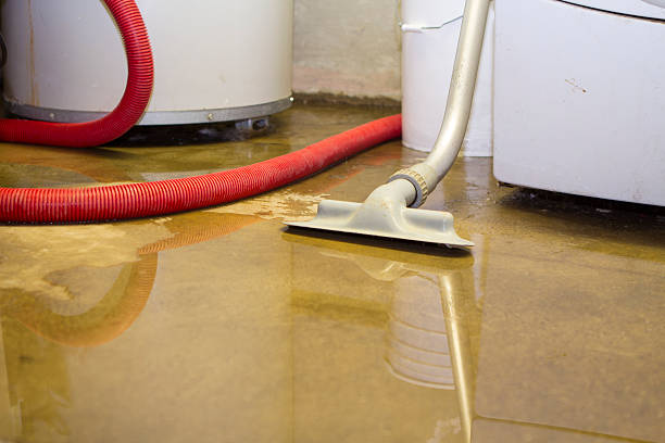 Best Mold removal after water damage  in Bolivar, WV
