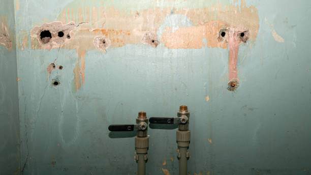Best Basement water damage restoration  in Bolivar, WV