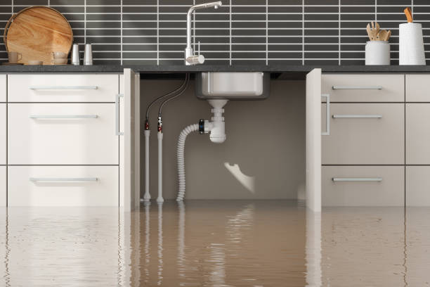 Best Residential water damage restoration  in Bolivar, WV